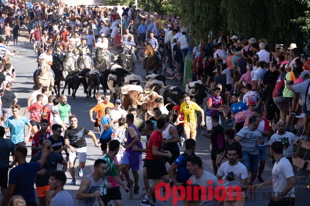 Último encierro en las Fiestas de Moratalla