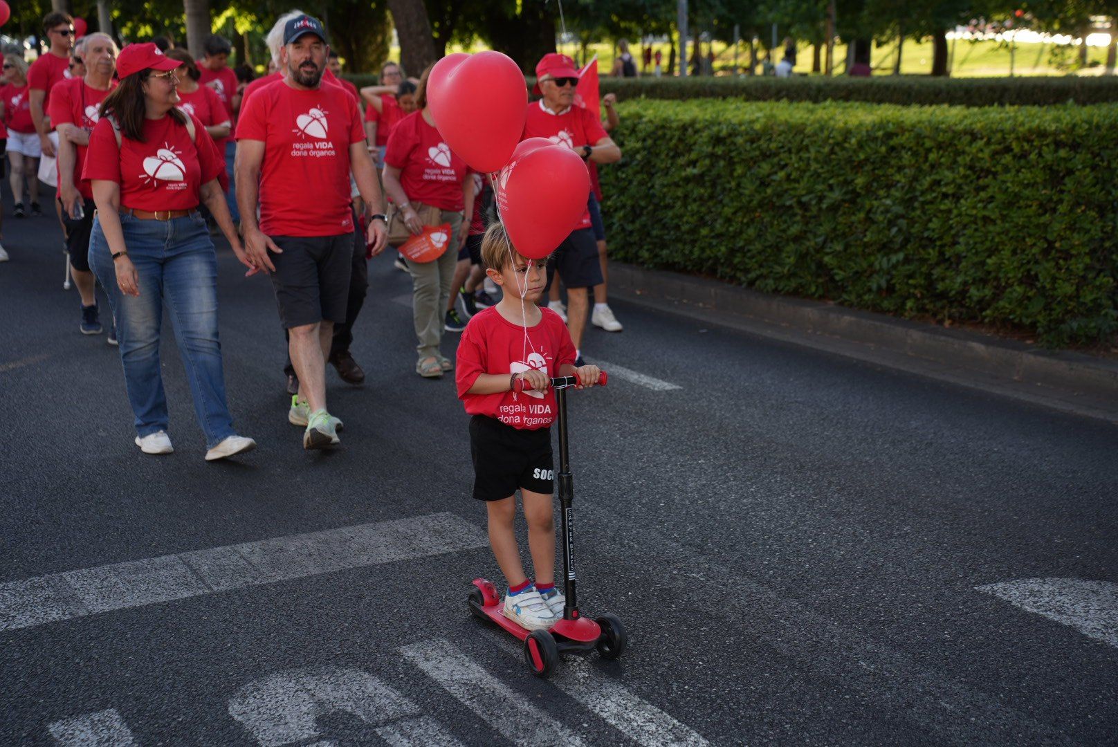 La marcha por la donación de órganos, en imágenes
