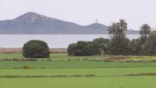 La CHS cerca a todo el regadío ilegal de la cuenca del Mar Menor