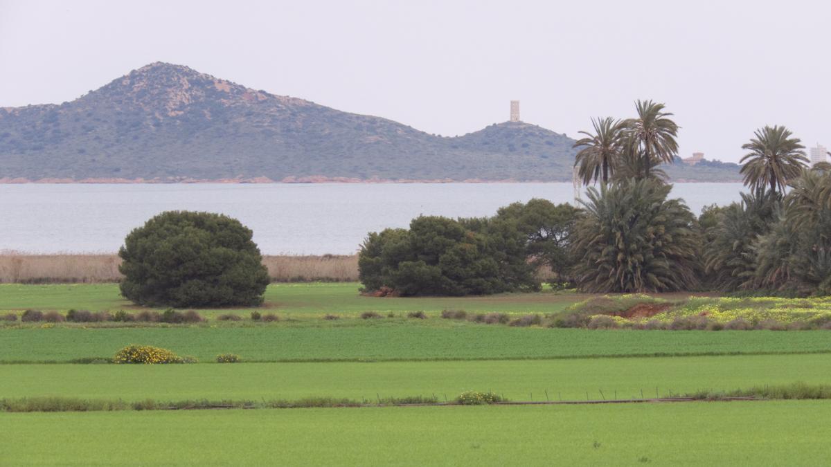 Campos agrícolas junto al litoral del Mar Menor.
