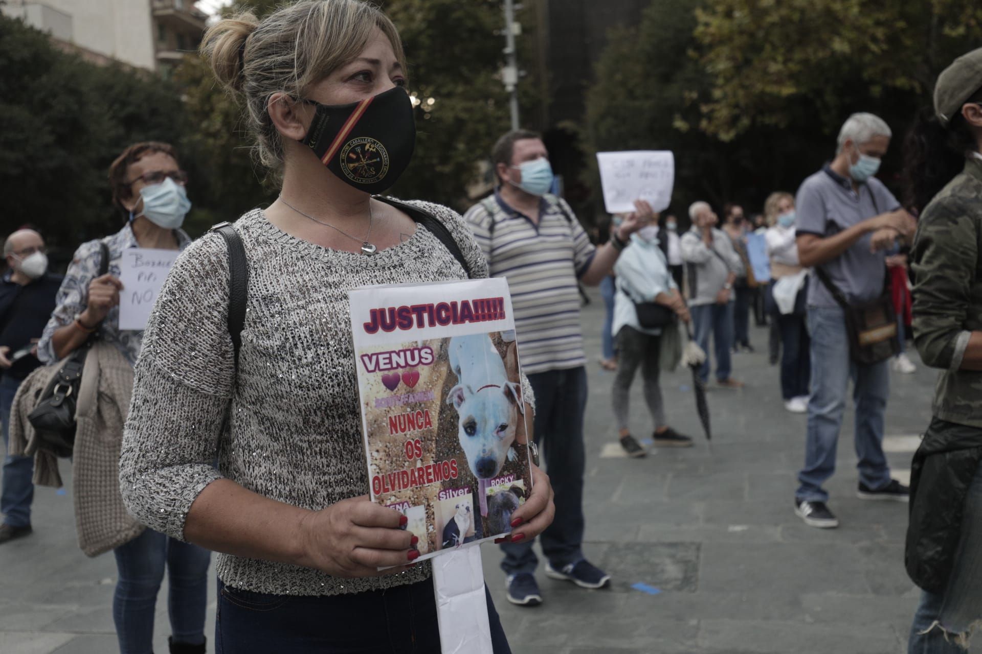 Manifestación en Palma por Venus, la perra pitbull que murió desangrada en Son Reus