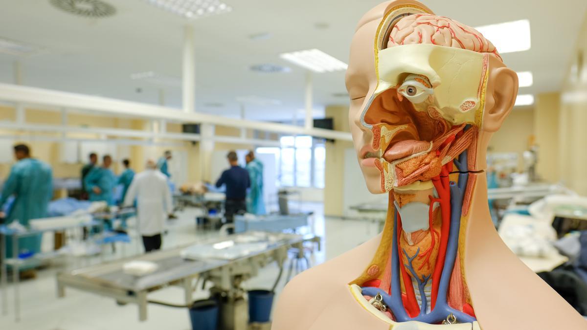 Un aula de la Facultad de Medicina de la UMH en Sant Joan