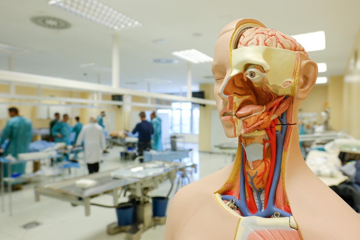 Un aula de la Facultad de Medicina de la UMH en Sant Joan