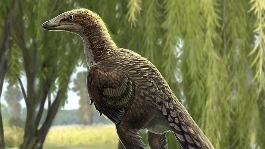 Investigadores apuntan a una nueva especie de dinosaurio carnívoro que vivía en los Pirineos