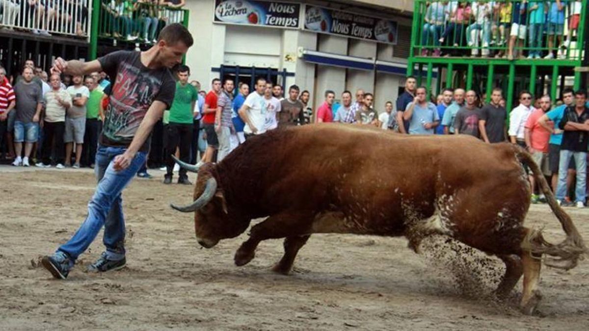Imagen de archivo de una exhibición taurina en las fiestas de la Soledat de Nules.