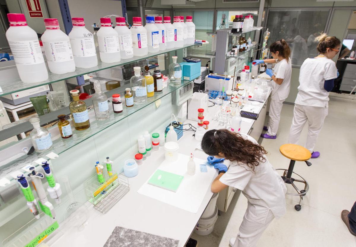 Las nuevas instalaciones del COFA, que se inauguraron el 16 de noviembre, presentan una reforma integral del edificio, que puedes comprobar en el curioso vídeo de este artículo