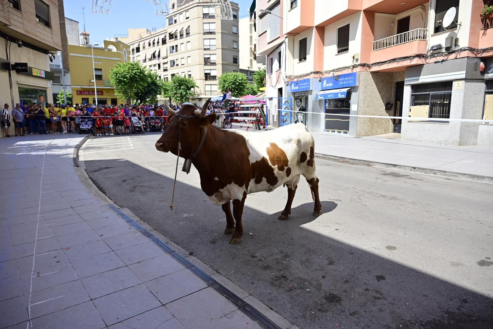 Una 'cagada' vale 1.000 euros