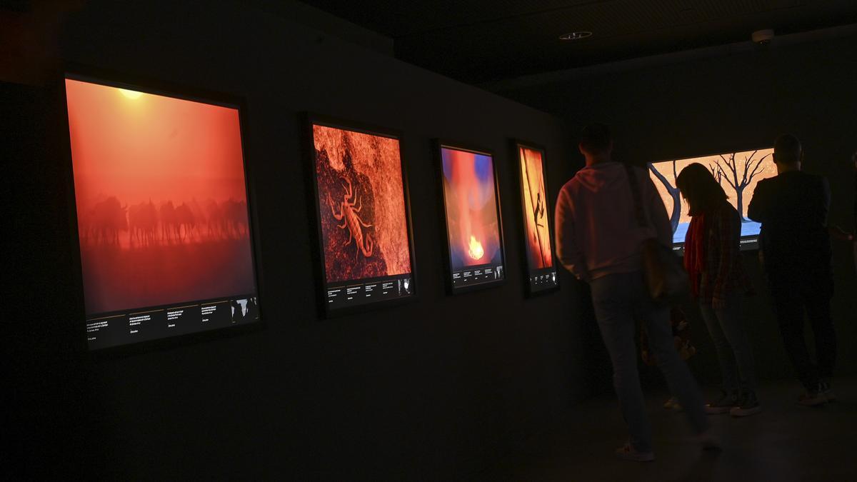 Fotografías con dominante de color naranja
