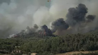 ¿Por qué los incendios de Francia están siendo tan rápidos y devastadores? 5 claves para entender qué hay detrás de estos fuegos