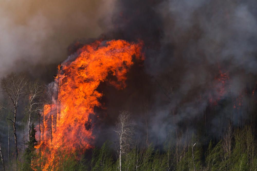 El incendio registrado en la localidad canadiense de Fort McMurray, en el estado de Alberta, ha destruido miles de hectáreas y de viviendas.