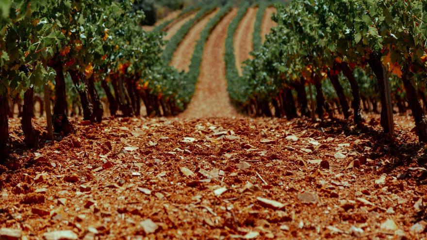 La Ruta del Vino de las Piedras: una experiencia que embriaga sin salir de Aragón