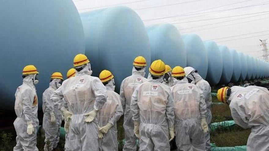 Las labores de limpieza en Fukushima podrían haber contaminado arrozales