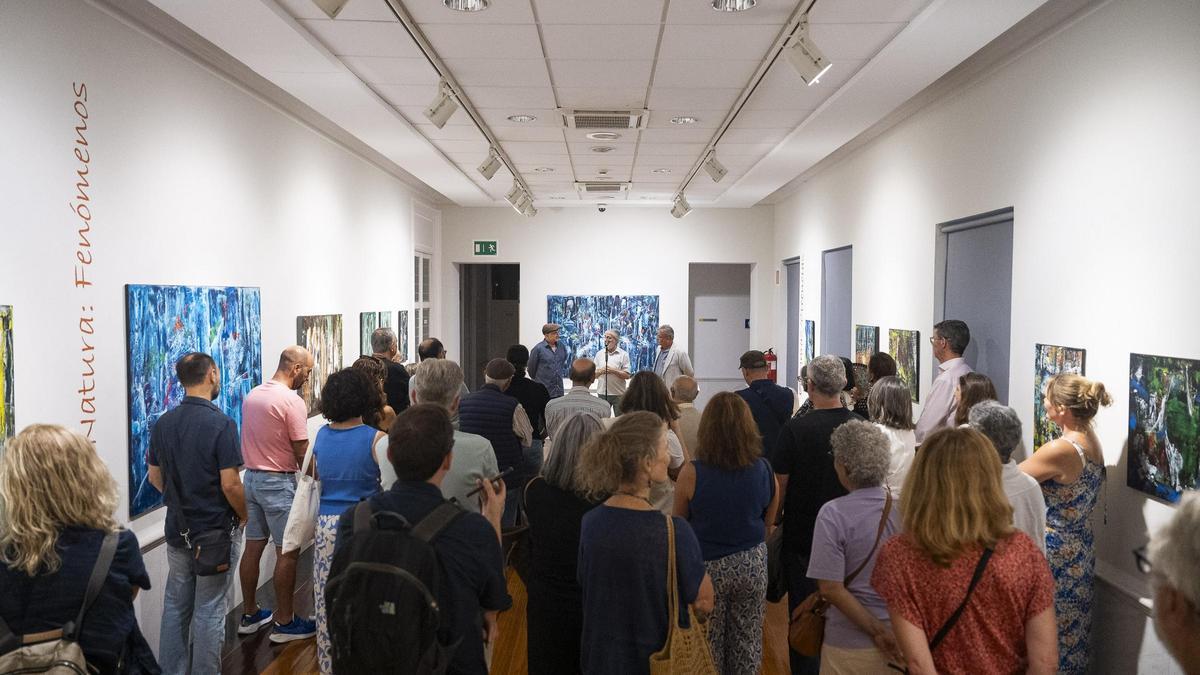 El imaginario artístico de Peter Faalstich tiene forma de bosque y se expone en el CICCA