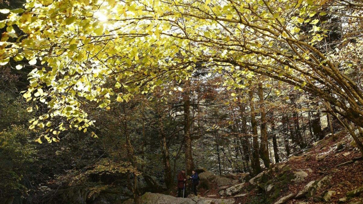 Red Natura 2000: los beneficios económicos de la protección ecológica