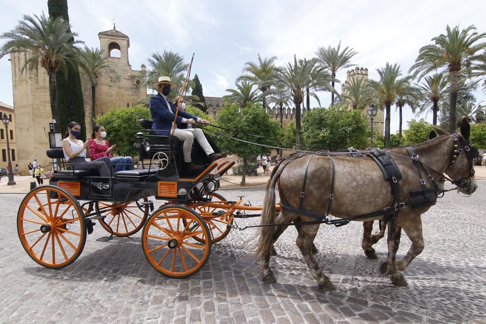 Sábado de "Feria" en Córdoba