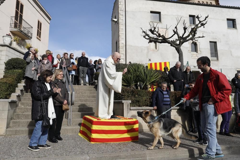 Desfilada de la Festa de Sant Antoni Abad al barri de Palau-sacosta i benedicció dels animals