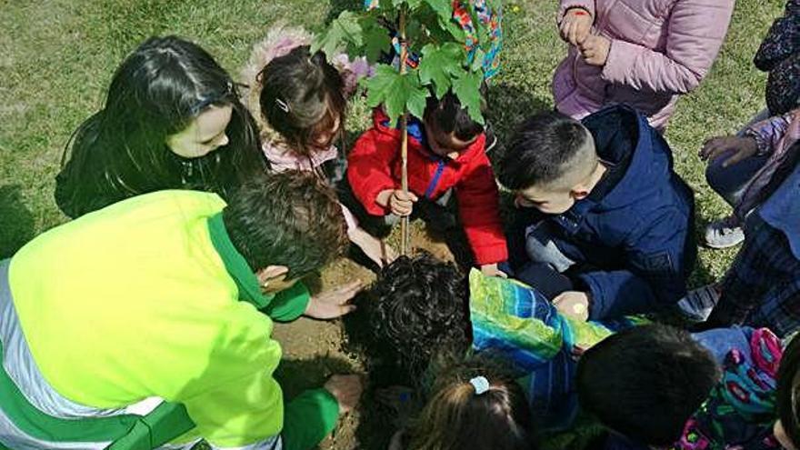 Niñas y niños del colegio de Villaralbo plantando árboles.