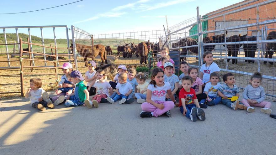 Los niños de Torres del Carrizal descubren la raza asnal zamorano leonesa