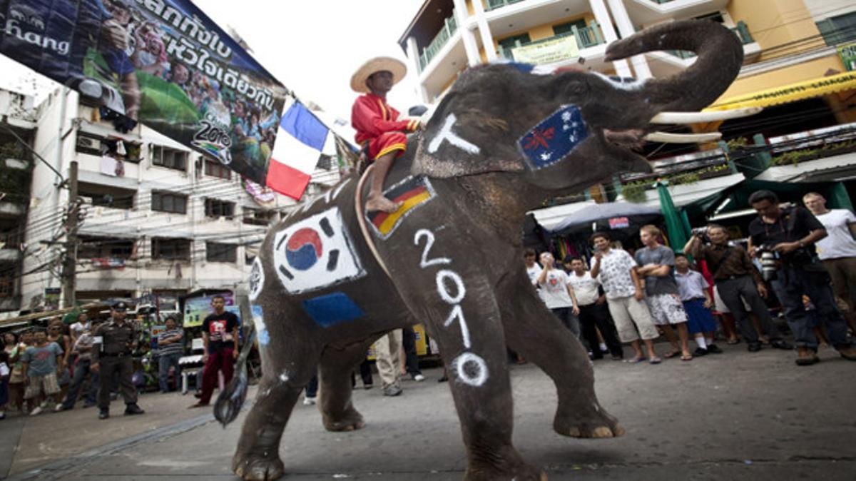 Un tailandès guia un elefant mentre centenars de persones miren la desfilada en un carrer de Bangkok.