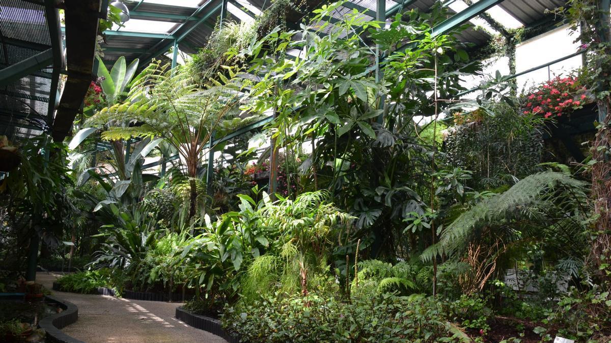 Fotogalería | Proponen la reapertura de la Estufa Fría del Parque del Príncipe