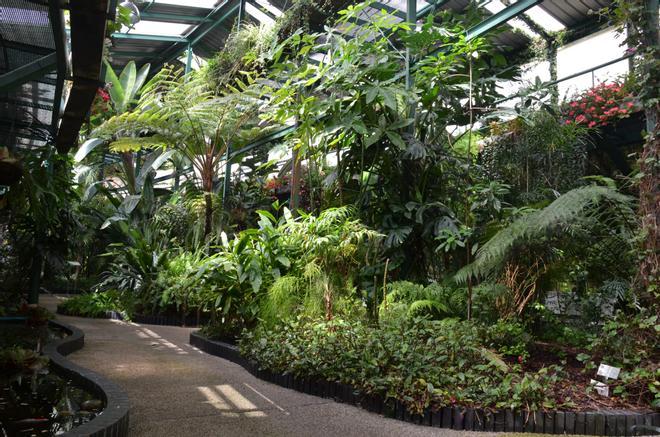 Fotogalería | Proponen la reapertura de la Estufa Fría del Parque del Príncipe