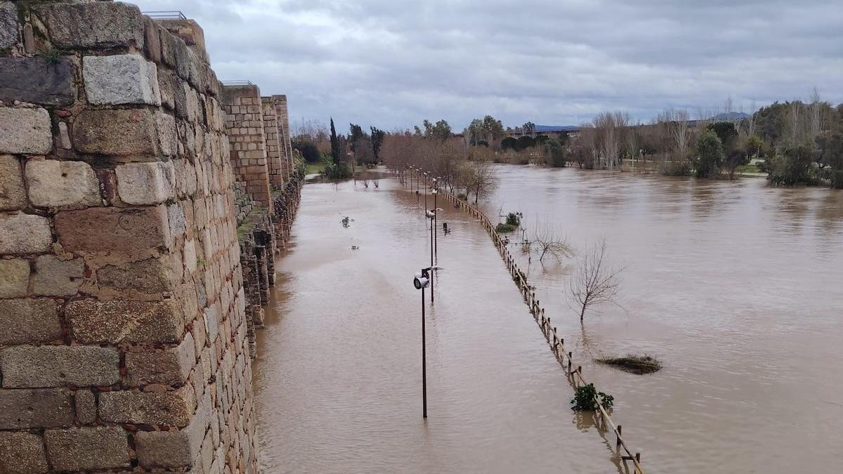 La crecida del río Guadiana a su paso por Mérida anega el parque de La Isla