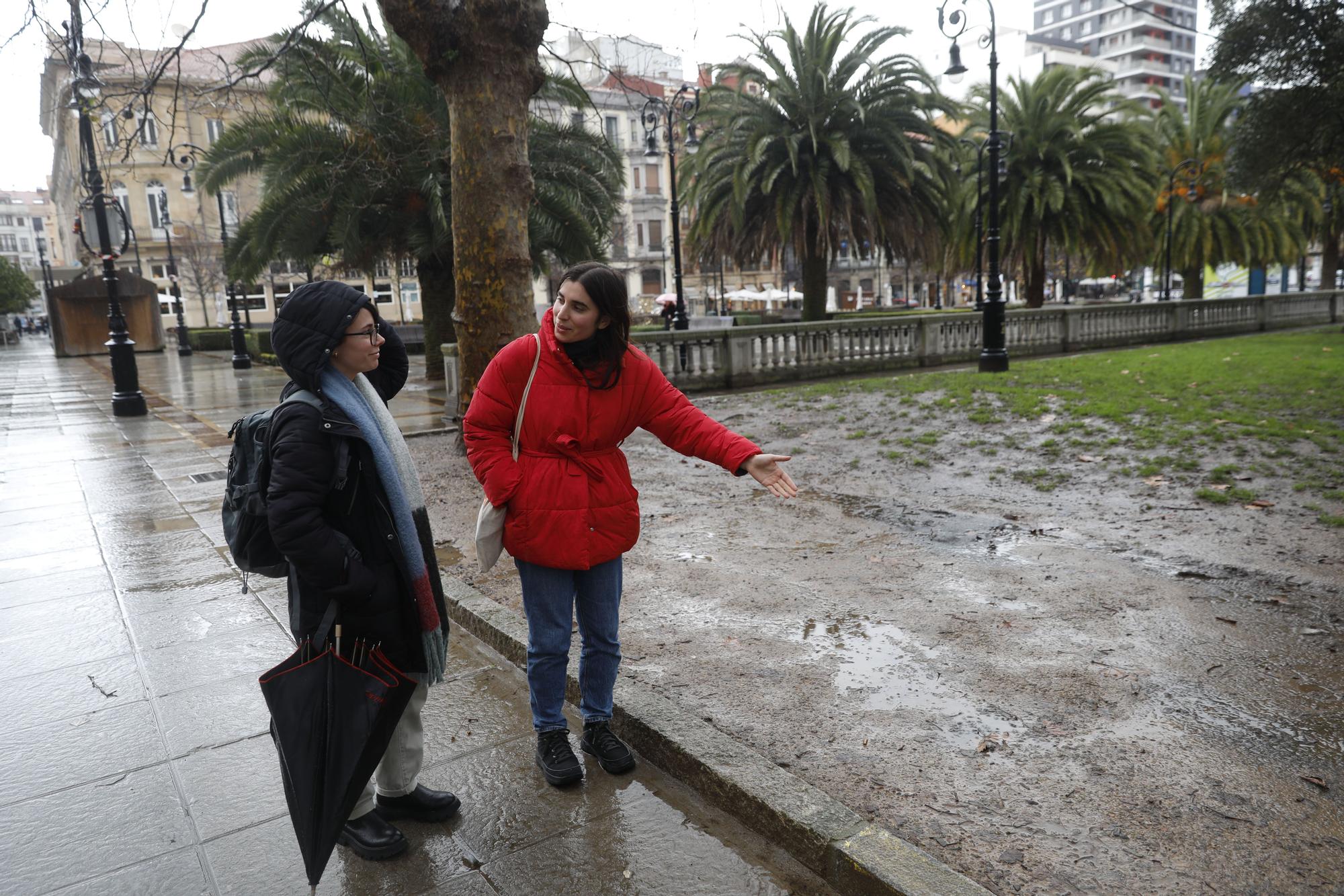 En imágenes: Sin flores de temporada y con pocos cuidados en las zonas verdes del centro de Gijón