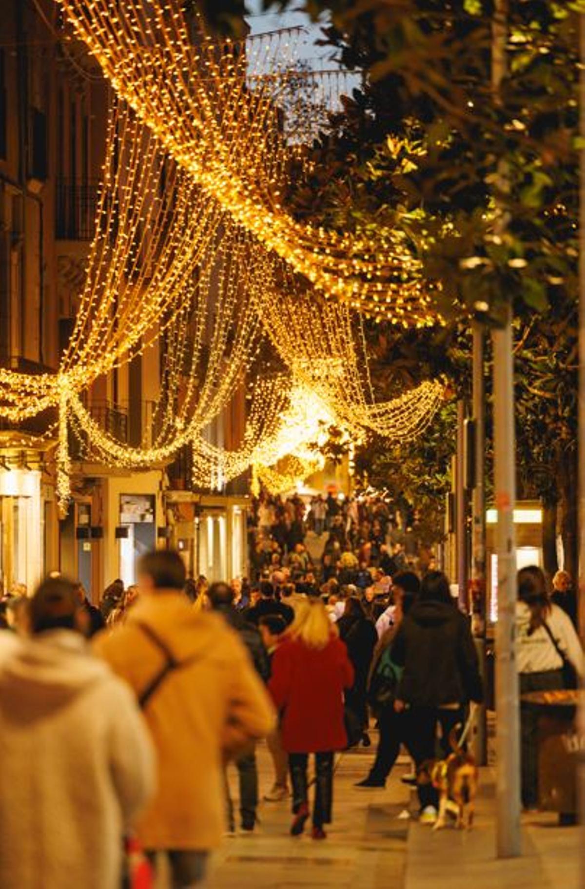 Per aquest pont de desembre s'espera una gran afluència de visitants i clients als comerços de la ciutat.