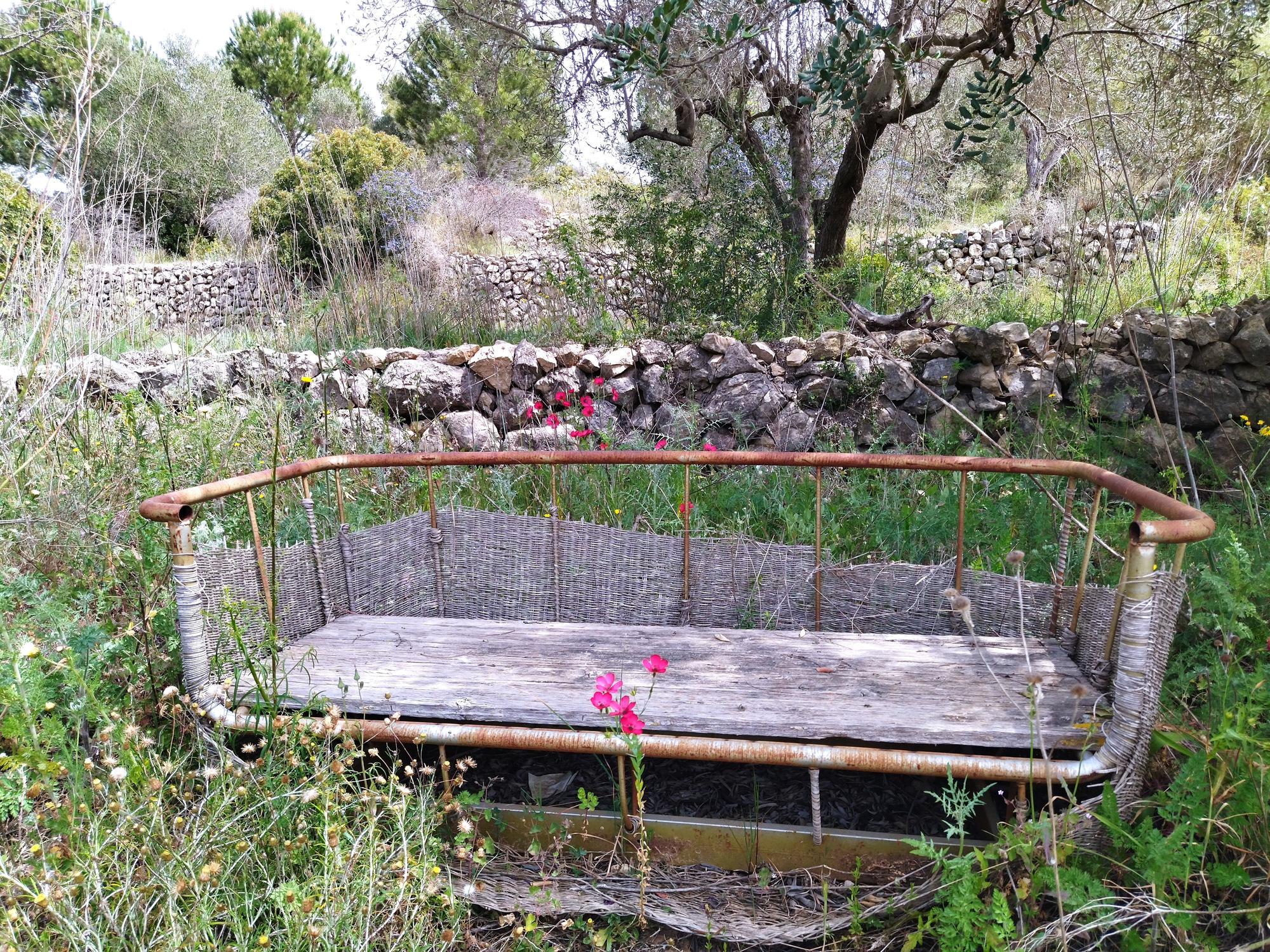 ¿Qué fue del jardín de los lirios de Bèrnia, en Benissa, el más grande de España?