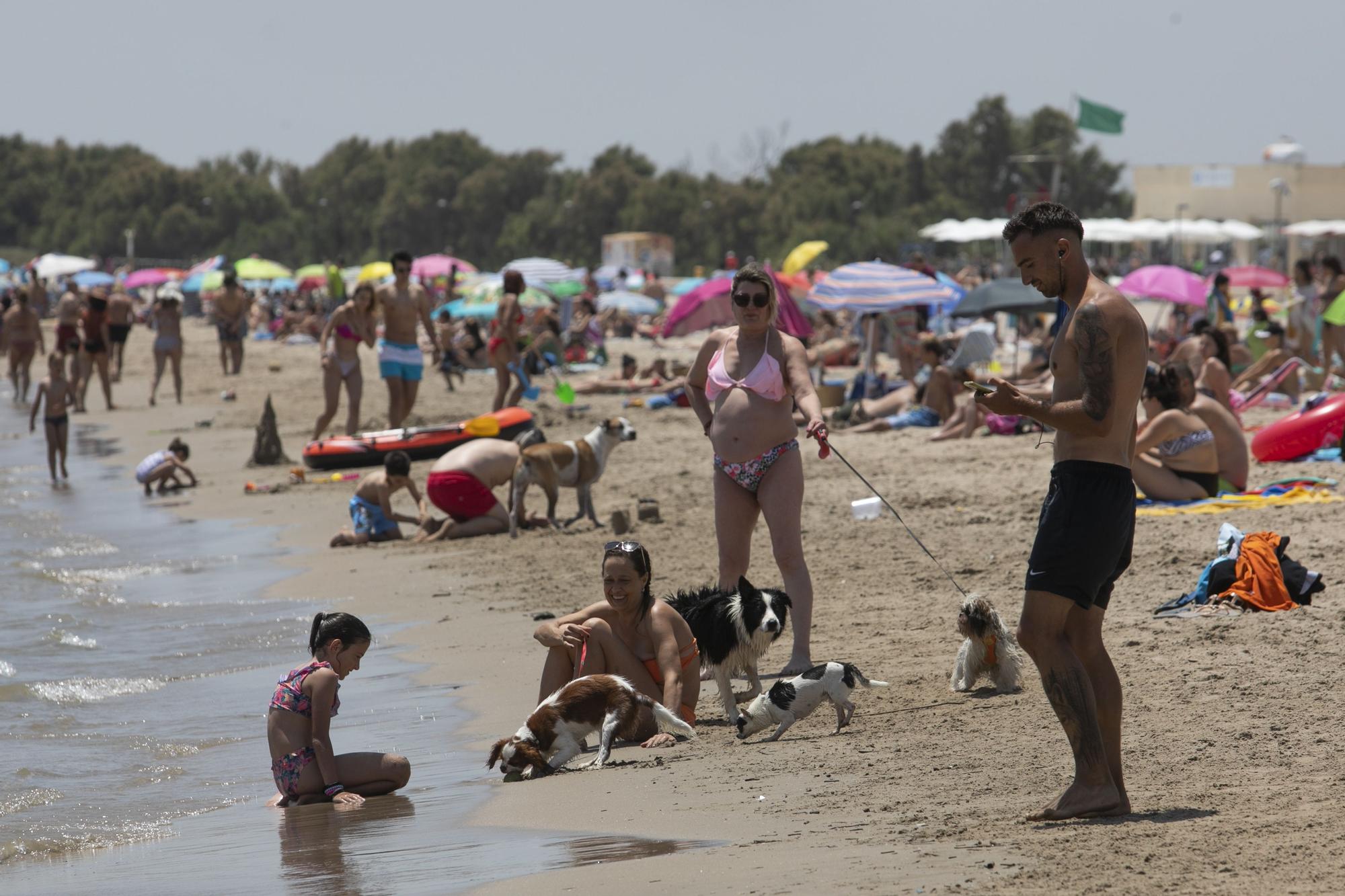 Playa canina de Pinedo