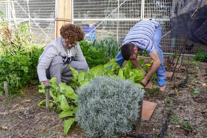 Visita escolar a la Granja Agricola del Cabildo