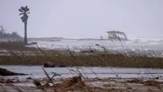 Tres años del temporal Gloria: el Delta de l'Ebre sigue sin levantar cabeza