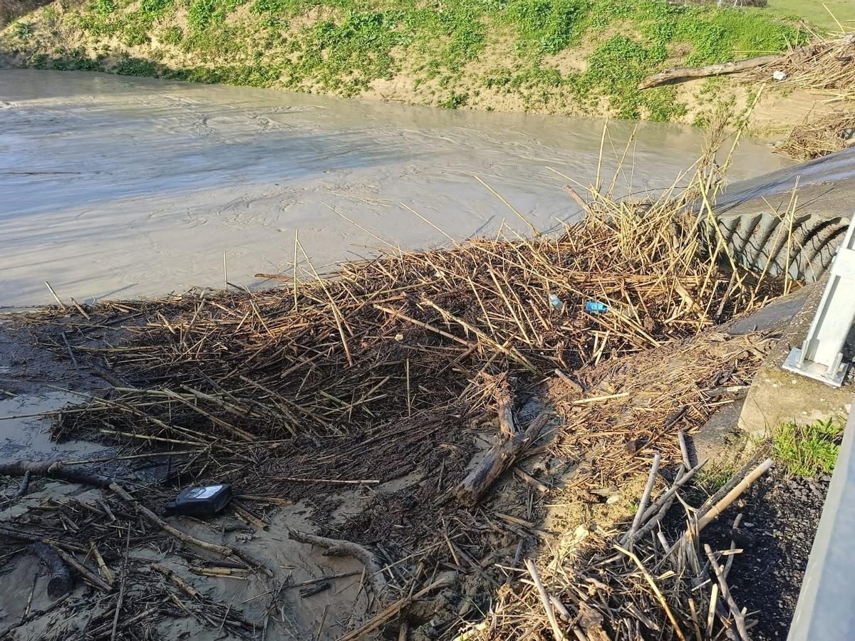 Obstrucción en el paso de aguas de la autovía del arroyo Cañetejo.
