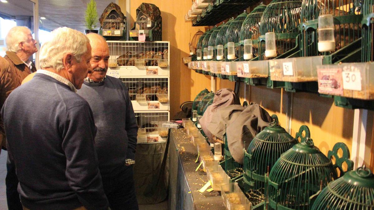 Imagen de archivo de la Feria de la Perdiz con Reclamo de Cabra.