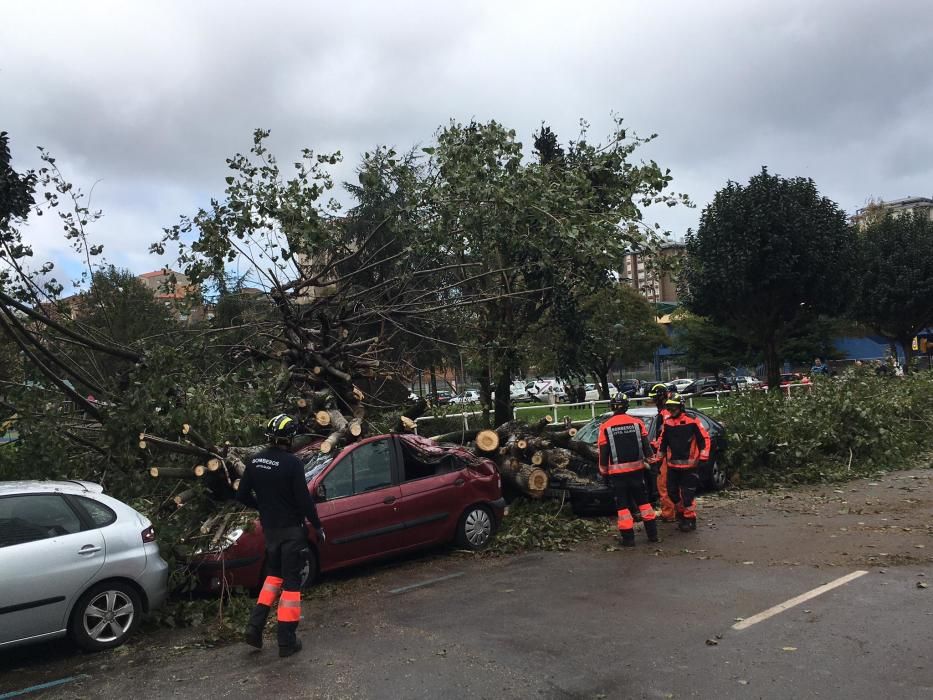 Daños por el temporal en Gijón.