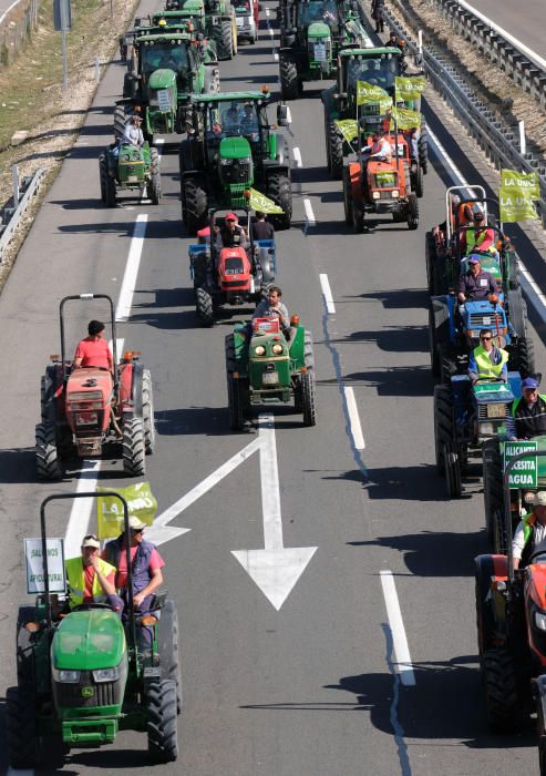 Tractorada en defensa del campo alicantino