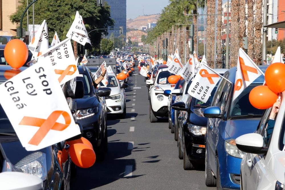 Miles de murcianos protestan en las calles contra la ley Celaá