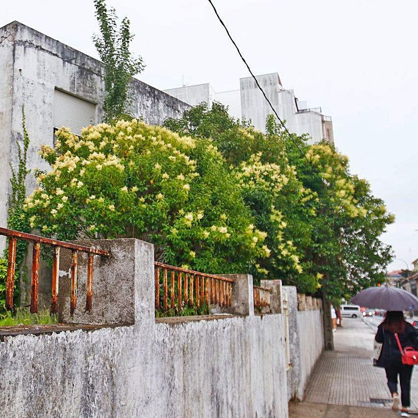 Casa Becerra, al pie de la playa de Compostela y ejemplo del Movimiento Modernista