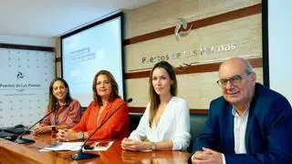 Una nueva línea de guaguas y coches compartidos: así quiere reducir el 2.400 desplazamientos diarios en el Puerto de Las Palmas