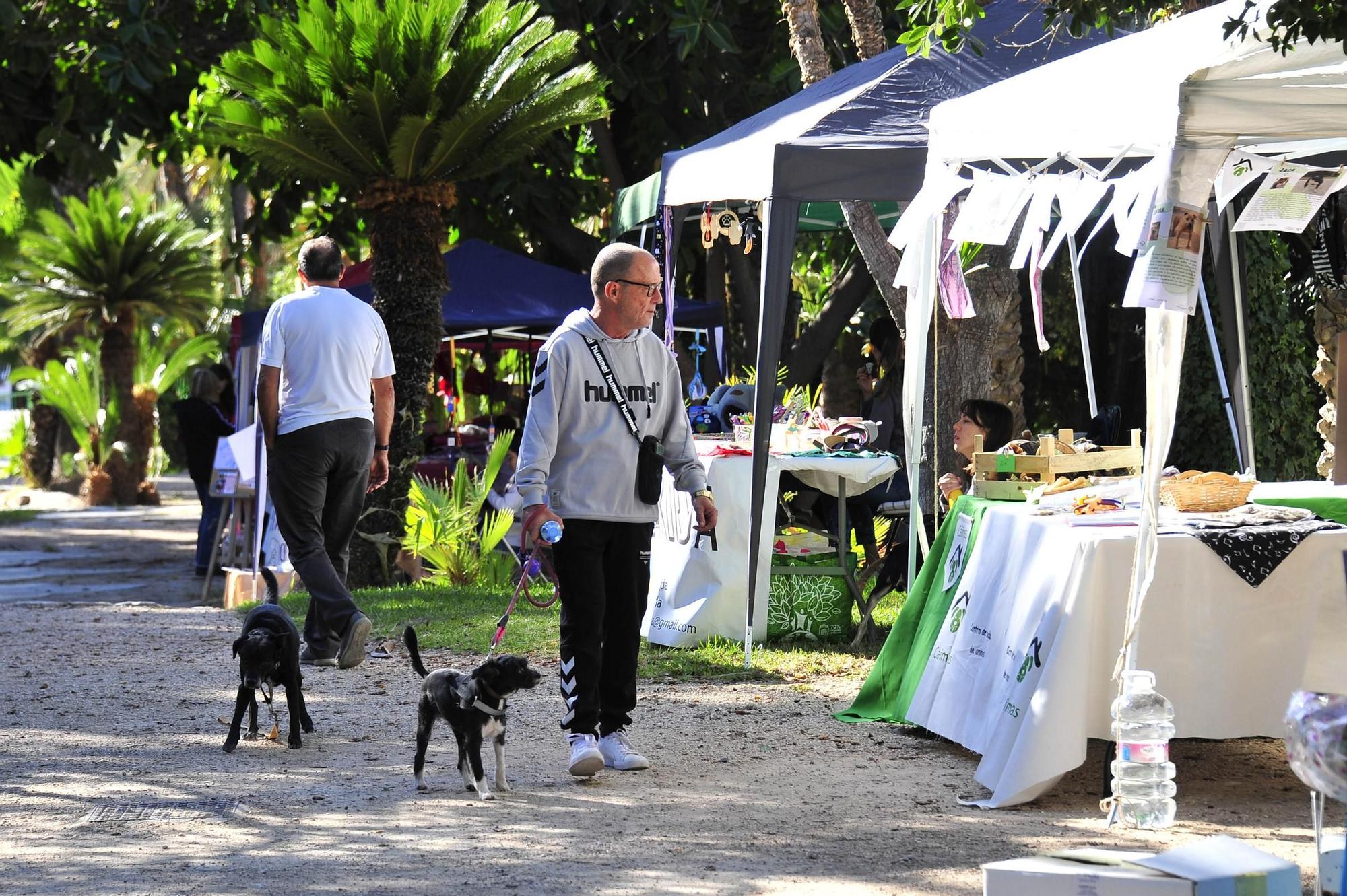 Feria de la adopcion de la provincia de Alicante