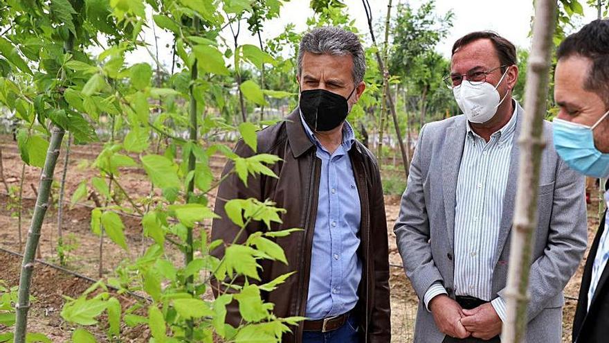 Sánchez y Palomares observan las especies que se están plantando.