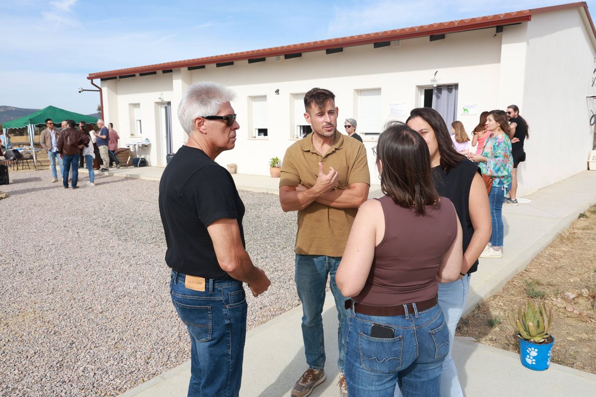Fotogalería | Así es el nuevo albergue para animales de Cáceres