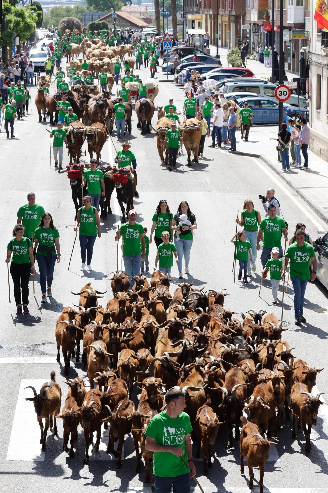 Marea verde en Llanera: el campo tomó la calle con el espectacular desfile de carros y animales