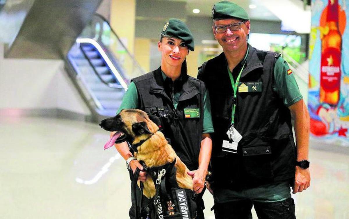 Ahzarus, encima de la cinta de equipajes del aeropuerto, buscando la maleta «señuelo». | TONI ESCOBAR