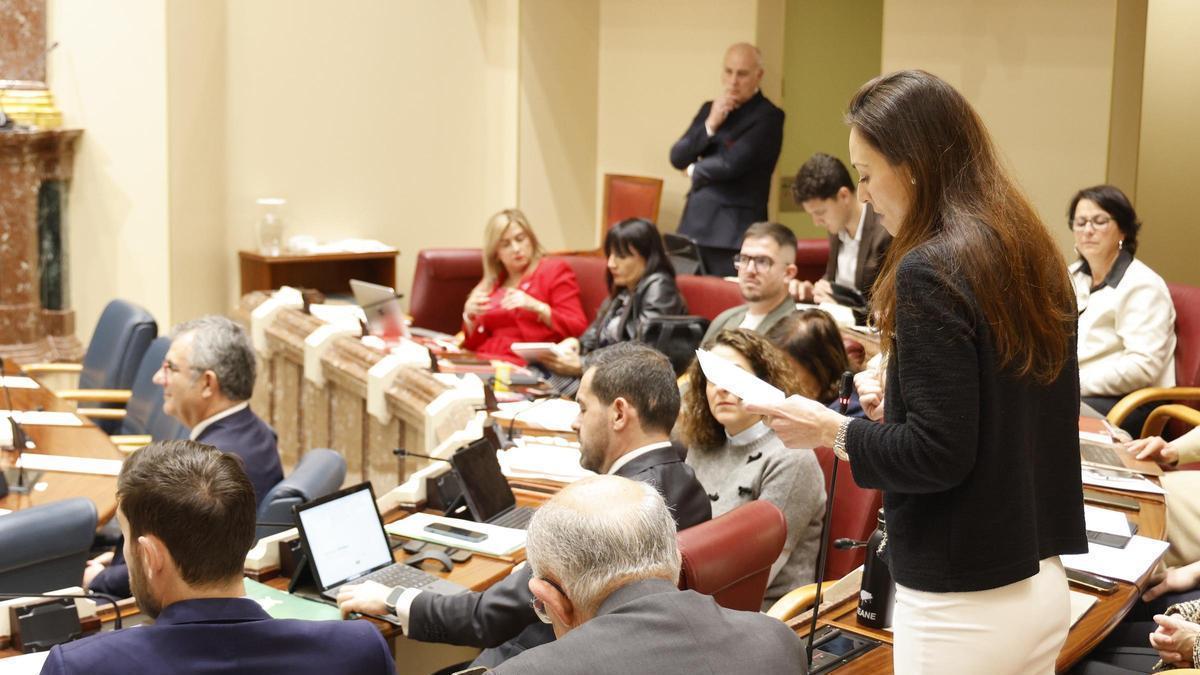 Virginia Martínez, preguntando al Consejo de Gobierno, este viernes.