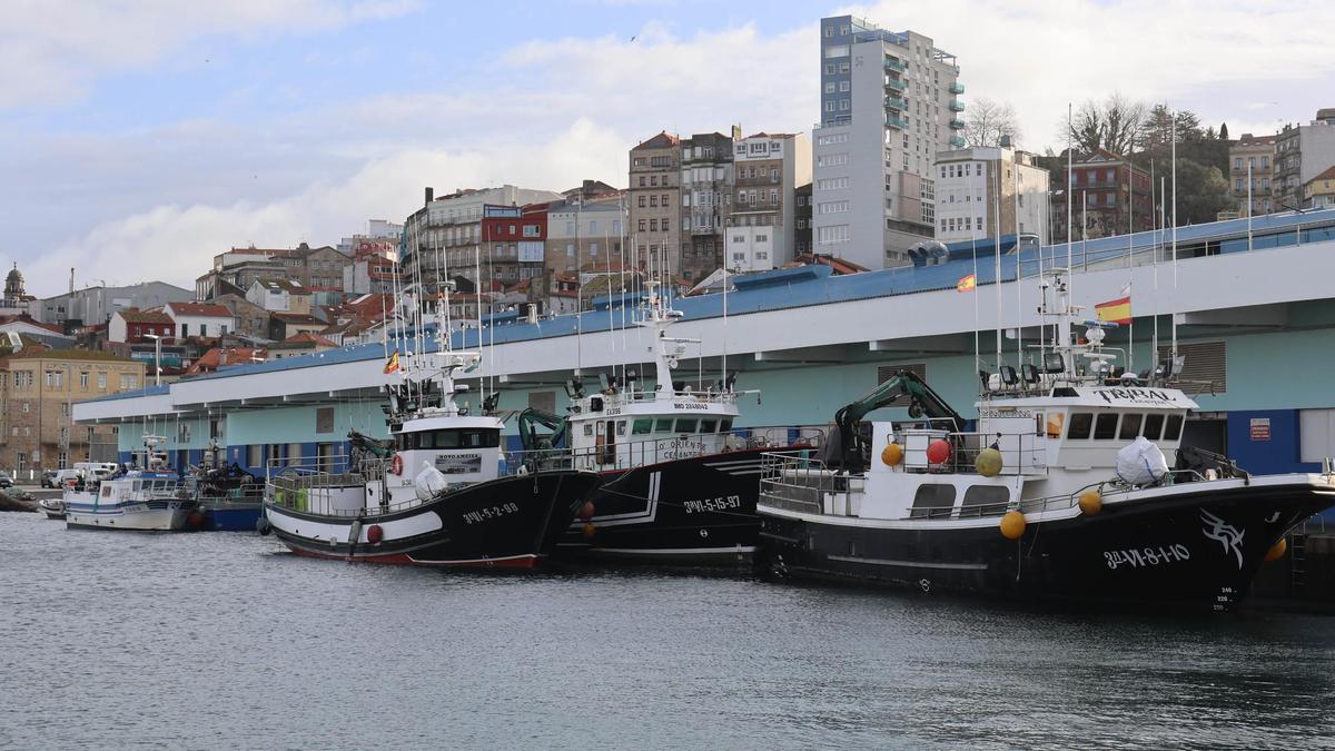 Flota de cerco amarrada en el puerto de O Berbés a comienzos de año