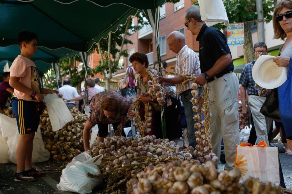 San Pedro 2016: Feria del Ajo