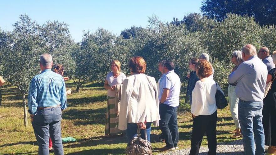 Una visita en una masia empordanesa amb olivedes.