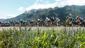 I a l’horitzó... el Mont Ventoux