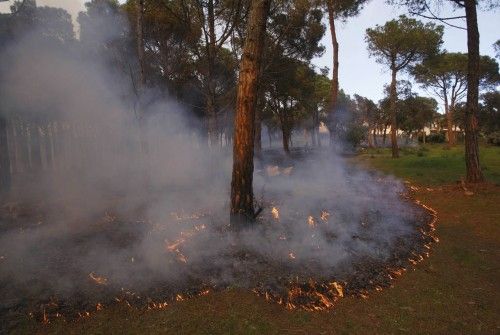 Incendi forestal a peu de les Gavarres